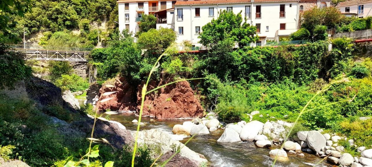 T2 Tout Confort Amélie-les-Bains-Palalda Exterior foto